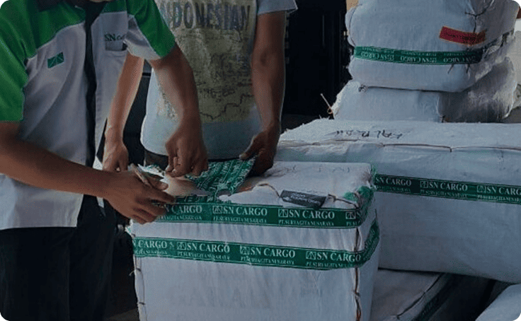 Domestic Freight Service