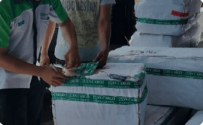 Domestic Freight Service